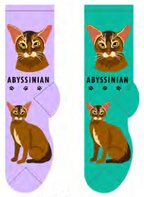 Abyssinian Feline Collection Socks