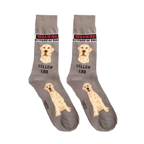 Yellow Lab Hover Image