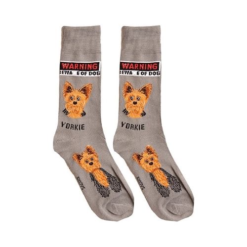 Yorkie