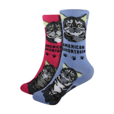 Buy wholesale Rebel Cat Socks (Pack x3)